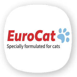 یوروکت | Euro cat