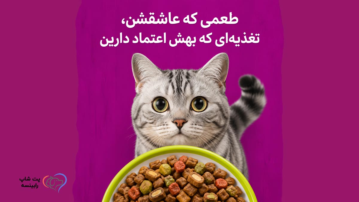 طعم لذیذ غذا خشک ویسکاس