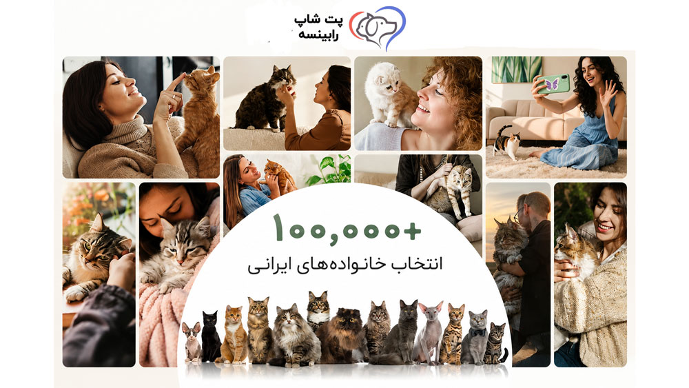 انتخاب هزار خانواده گربه دار