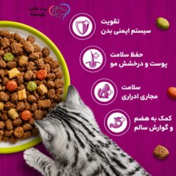 غذا خشک ویسکاس بره