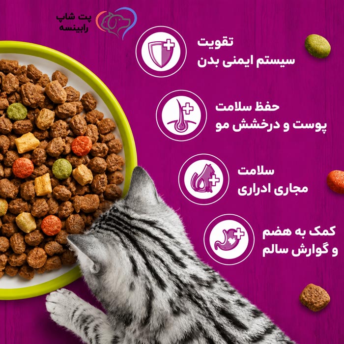 غذا خشک ویسکاس بره