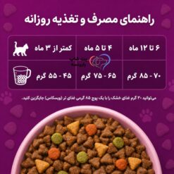 راهنمای مصرف غذا خشک ویسکاس گربه