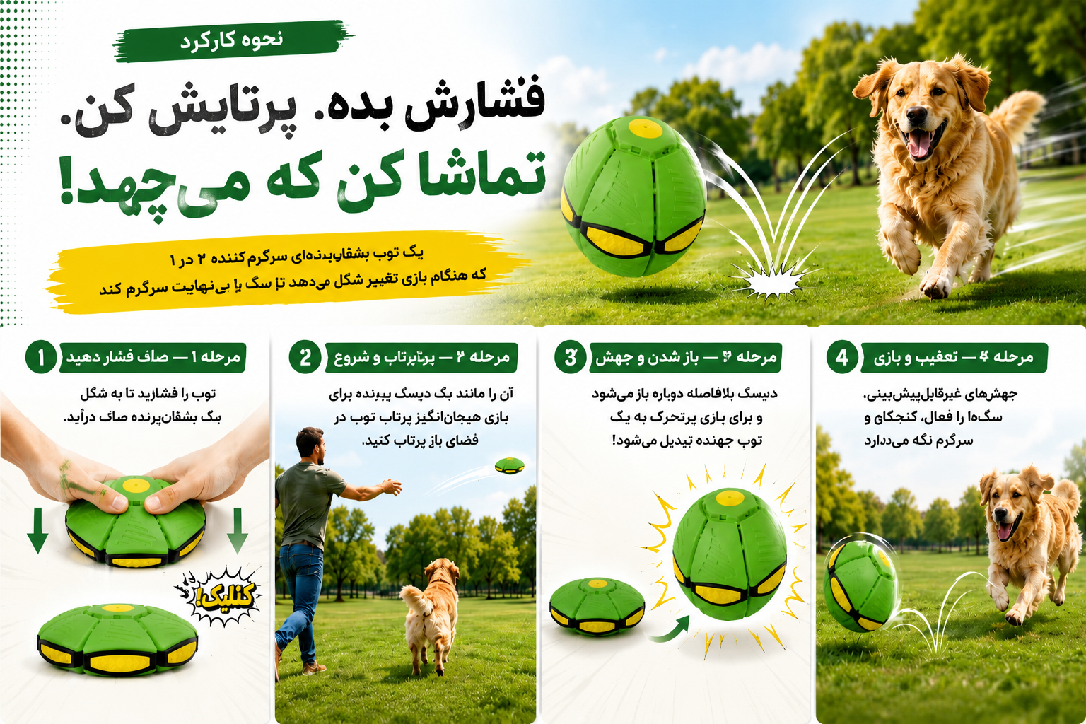 دیسکبال سگ