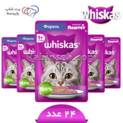 پوچ گربه بالغ ویسکاس روسیه قزل آلا پته ای بسته بندی 24 عددی