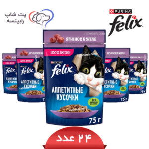 پوچ گربه فلیکس روسیه بره پک 24 عددی