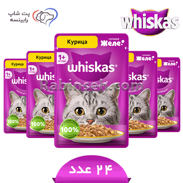 پوچ گربه ویسکاس روسیه مرغ ژله ای بسته بندی 24 عددی